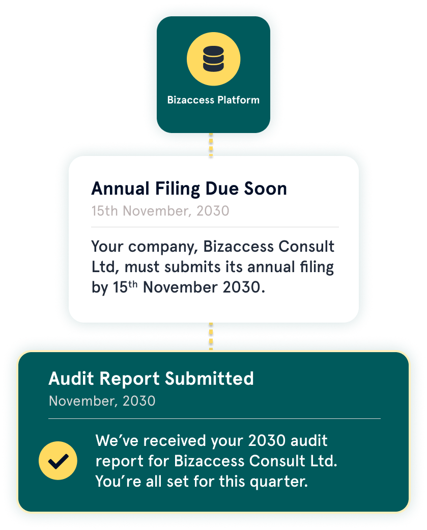 Audit Illustration